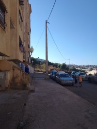 محل-كراء-تيبازة-دواودة-الجزائر