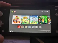 Vente de Nintendo switch lite cracker 