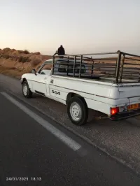 Peugeot 504 1995 