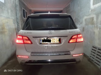 voitures-mercedes-ml-2012-250-cdi-pack-amg-dely-brahim-alger-algerie