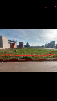 terrain-vente-alger-tessala-el-merdja-algerie