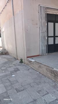 محل-كراء-سطيف-الجزائر