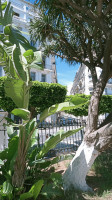 appartement-vente-f4-alger-centre-algerie