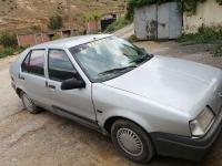 berline-renault-19-1992-boumedfaa-ain-defla-algerie