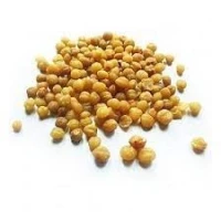 grains dakpi 