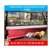 CONGELATEUR A GLACES GELATO  16 BACS MORSI 