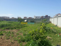 land-rent-algiers-bordj-el-kiffan-algeria