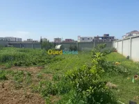 Location Terrain Alger Bordj el kiffan