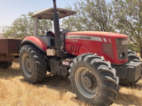 tracteurs-massey-ferguson-7150-2014-ain-temouchent-algerie