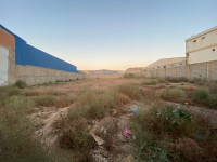 terrain-vente-oran-oued-tlelat-algerie