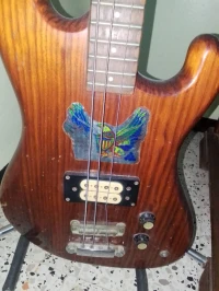 Guitar Bass eko avec support 