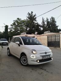 سيارات-fiat-500-2024-club-المدية-الجزائر