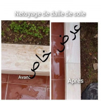 nettoyage-jardinage-de-dale-sol-mechtrass-tizi-ouzou-algerie