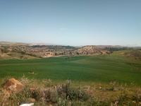 terrain-agricole-vente-bouira-sour-el-ghouzlane-algerie