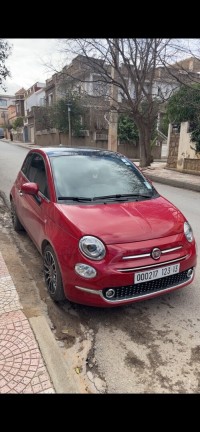 سيارات-fiat-500-2023-dolcevita-plus-تلمسان-الجزائر