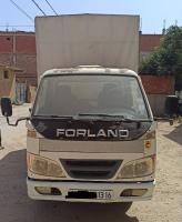 camion-forland-2013-ouled-selama-blida-algerie