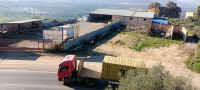 hangar-location-bejaia-el-kseur-algerie