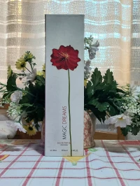 Parfum Magic Dreams Org