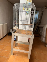 accessoire-pour-animaux-cage-perroquet-el-mouradia-alger-algerie