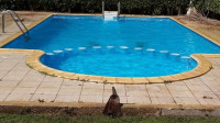 autre-piscine-top-ouled-el-alleug-blida-algerie