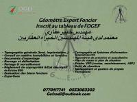 projets-etudes-geometre-expert-foncier-مهندس-خبير-عقاري-saoula-alger-algerie