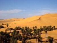 voyage-organise-boumerdes-travel-vous-propose-un-circuit-bechar-algerie