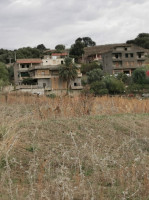 terrain-vente-boumerdes-bordj-menaiel-algerie