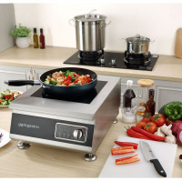 cuisinieres-a-induction-ggm-gastro-ids6-5-kw-el-biar-alger-algerie