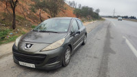 voitures-peugeot-207-2011-active-baraki-alger-algerie