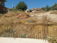Vente Terrain Boumerdès Khemis el khechna