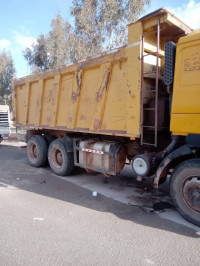 camion-shacman-2010-arris-batna-algerie