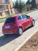 voitures-fiat-500-2024-club-algerie