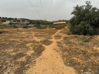 terrain-vente-bouira-bechloul-algerie