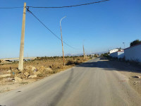 terrain-location-boumerdes-hammedi-algerie