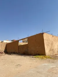 Location Local Naâma Mecheria