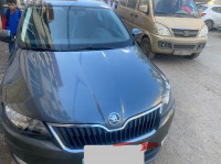 voitures-skoda-rapid-2014-alger-centre-algerie