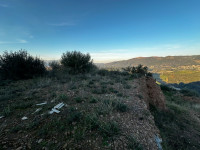 terrain-vente-boumerdes-beni-amrane-algerie