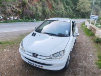 voitures-peugeot-206-2004-algerie