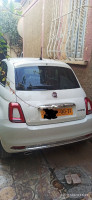 voitures-fiat-500-2024-blida-algerie