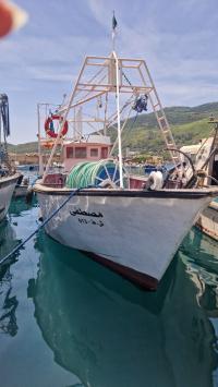 قوارب-ventu-bateau-de-peche-عنابة-الجزائر