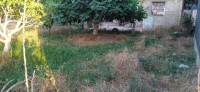 أرض-بيع-البليدة-أولاد-سلامة-الجزائر