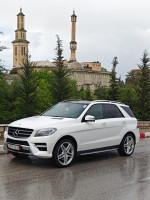 tout-terrain-suv-mercedes-ml-2014-250-cdi-pack-amg-mila-algerie