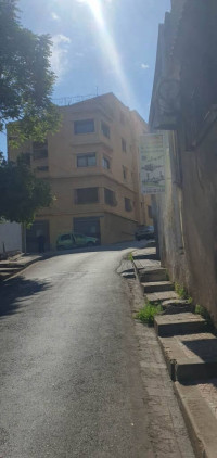 niveau-de-villa-vente-f5-alger-sidi-mhamed-algerie