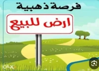 Vente Terrain Agricole In Salah Ain Salah