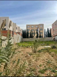 Vente Terrain Alger Ouled fayet