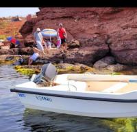 bateaux-barques-evenrude-moteur-99-cherchell-tipaza-algerie