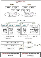 education-formations-تقديم-دروس-الدعم-والدورات-التدريبية-bab-ezzouar-alger-algerie