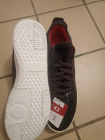 sneakers-basket-decathlon-kouba-alger-algeria