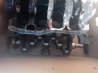 لي بيسطون، بيال كيلاص عامر، كارتار
