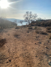 terrain-vente-tlemcen-ghazaouet-algerie